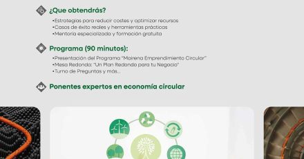 Jornadas Organizadas por el Ayuntamiento de Mairena del Aljarafe – Noviembre 2025